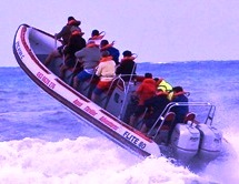 Cape Town High Speed Boat Charter Gordons Bay