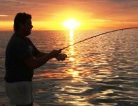 Fishing Inshore Deep Sea Boat Charter