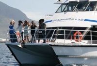 Luxury Catamaran Boat Charter Functions Cape Town