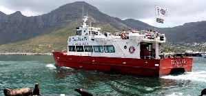 Hout Bay Boat Charter Cruises Cape Town