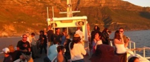 Hout Bay Boat Charter Cruises Cape Town