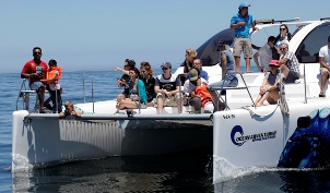 Ocean Adventurer Boat Charter Cape Town.