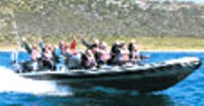 Simon's Town Boat Charters and Cruises