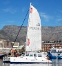 Hout Bay Boat Charter Cruises Functions Cape.