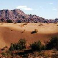 Kalahari Desert Safari Tour