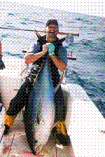 Boat Fishing Charters Cape