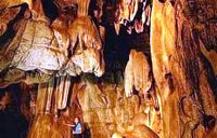 Cradle of Humankind Sterkfontein Caves Tour