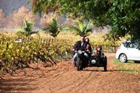 Cape Motorcycle Sidecar Tours Travel