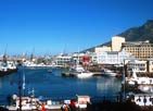 Tours Day Trips from Cape Town